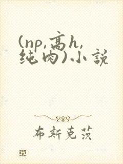 (np,高h,纯肉)小说