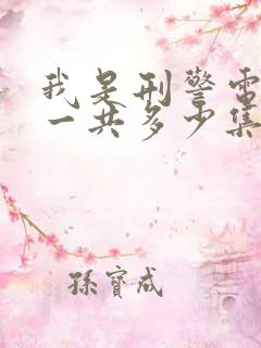 我是刑警电视剧一共多少集