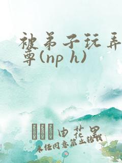 被弟子玩弄的师尊(np h)