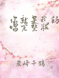 你就是我的爱原唱完整版