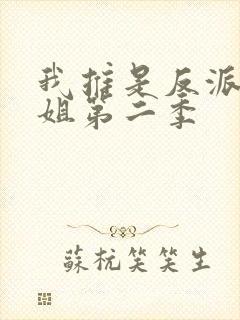 我推是反派大小姐第二季