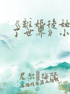 《离婚后她惊艳了世界》小说