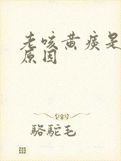 老咳黄痰是什么原因