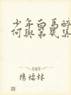 少年白马醉春风何与第几集出现