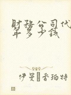 财务公司代账一年多少钱