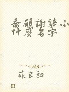 乔愿谢辞小说叫什么名字