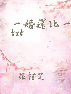 一婚还比一婚高txt