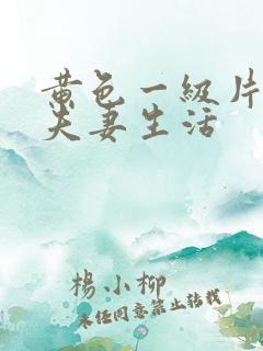 黄色一级片中国夫妻生活