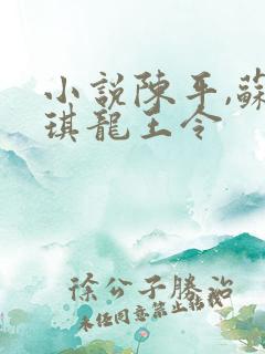 小说陈平,苏雨琪龙王令
