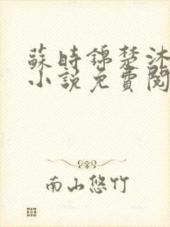 苏时锦楚沐尘的小说免费阅读最新章节