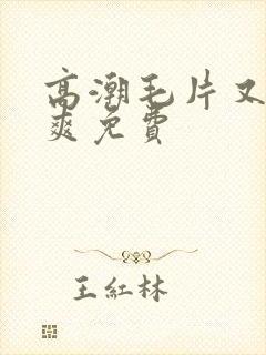 高潮毛片又色又爽免费