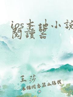 ios本地小说阅读器