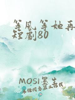 等风等她再回头短剧80
