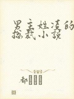 男主姓凌的霸道总裁小说