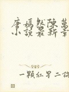 唐嫣然陈万年的小说最新章节阅读