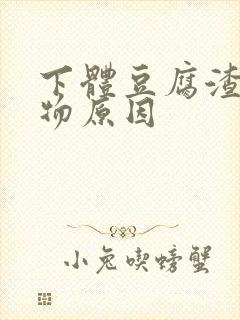 下体豆腐渣分泌物原因