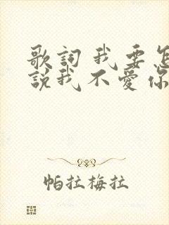 歌词 我要怎么说我不爱你