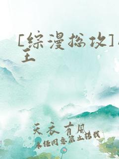 [综漫总攻]网王