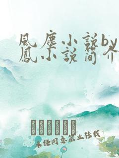 风尘小说by火凤小说简介免费阅读