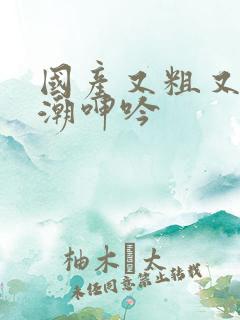 国产又粗又爽高潮呻吟