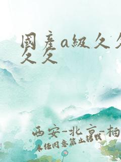 国产a级久久久久久