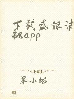 下载盛银消费金融app