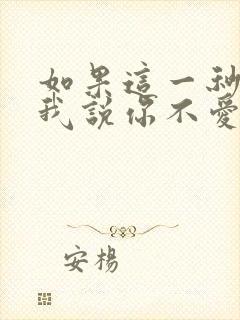 如果这一秒你跟我说你不爱我歌词