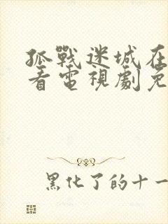 孤战迷城在线观看电视剧免费观看全集