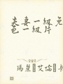 夫妻一级免费黄色一级片