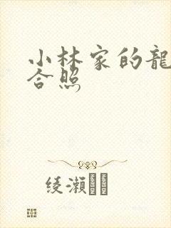 小林家的龙女仆合照