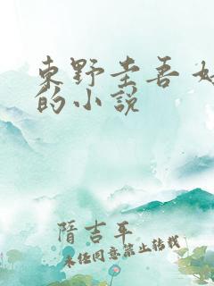 东野圭吾 好看的小说