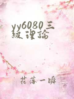yy6080三级理论