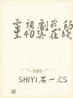 电视剧我的后半生40集在线直播