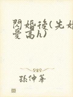 闪婚后(先婚后爱高h)