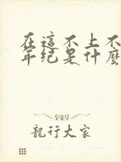 在这不上不下的年纪是什么歌