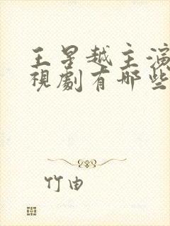 王星越主演的电视剧有哪些