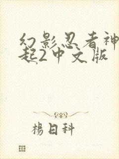 幻影忍者神龙崛起2中文版