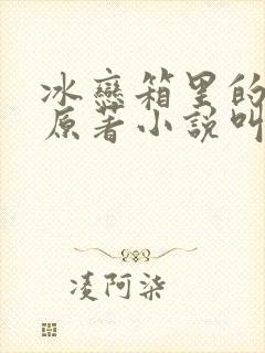 冰恋箱里的妈妈原著小说叫什么名字