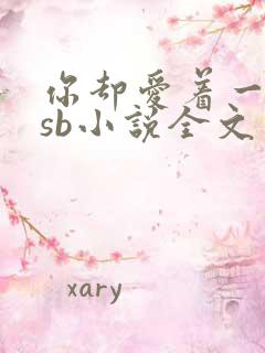 你却爱着一个他sb小说全文免费阅读