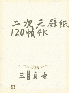 二次元壁纸动态120帧4k