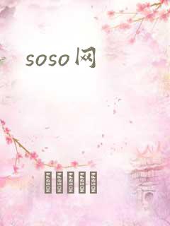 soso网