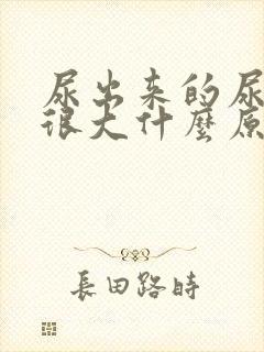 尿出来的尿味道很大什么原因