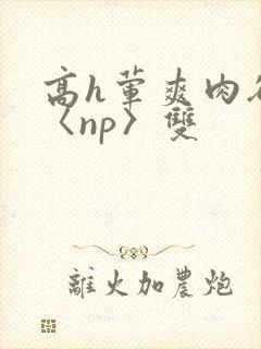 高h荤爽肉欲文〈np〉双