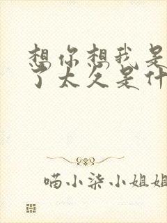 想你想我是否过了太久是什么歌