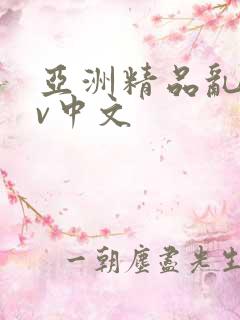 亚洲精品乱码av中文