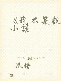 《我不是戏神》小说