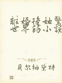 离婚后她惊艳了世界的小说