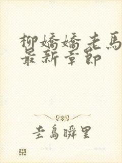 柳娇娇老马小说最新章节