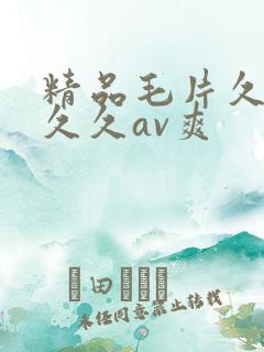 精品毛片久久久久久av爽