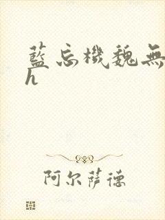 蓝忘机魏无羡高h